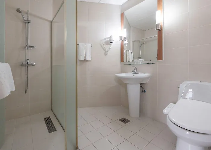Ibis Ambassador Centre 3* Пусан