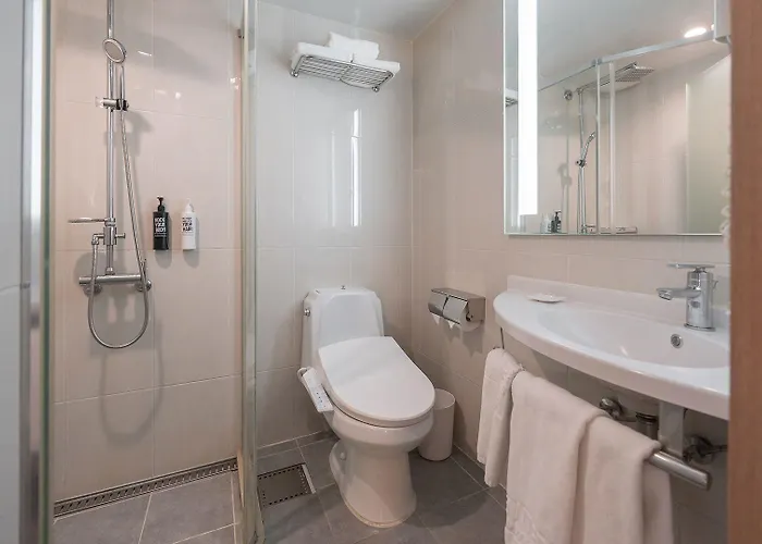 Ibis Ambassador Centre 3* Пусан