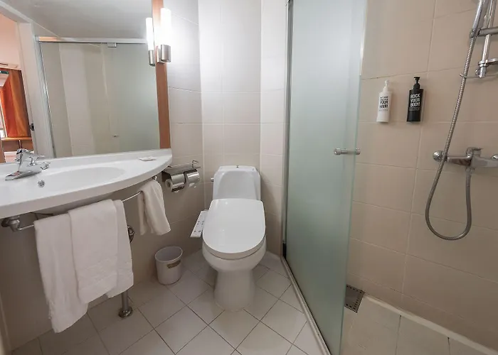 Ibis Ambassador Centre 3* Пусан